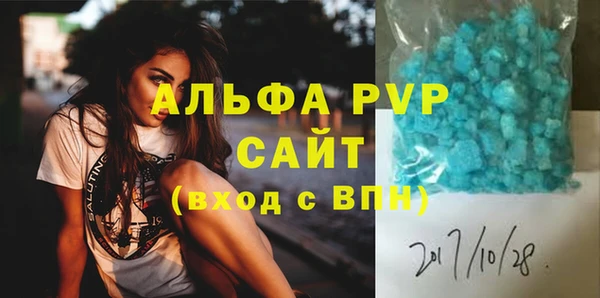 гашик Инсар