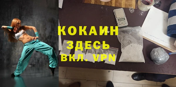 гашик Инсар